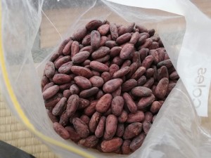 ソロモン諸島産の有機カカオ豆です。発酵しているので、酸っぱい香りがします。